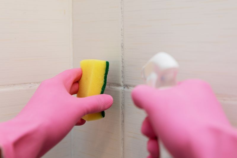 Grout Cleaning